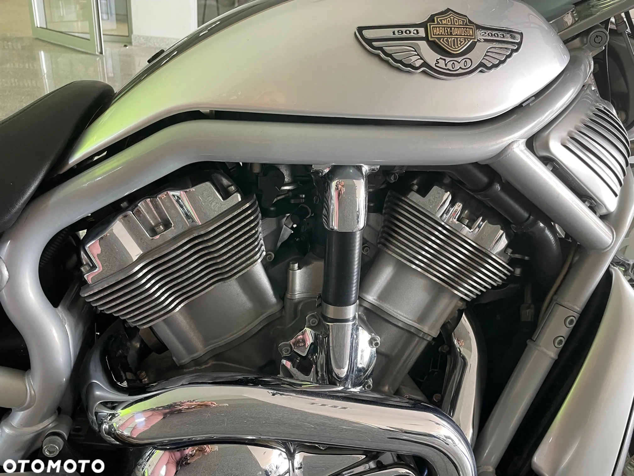 Harley-Davidson Softail V-Rod - 6
