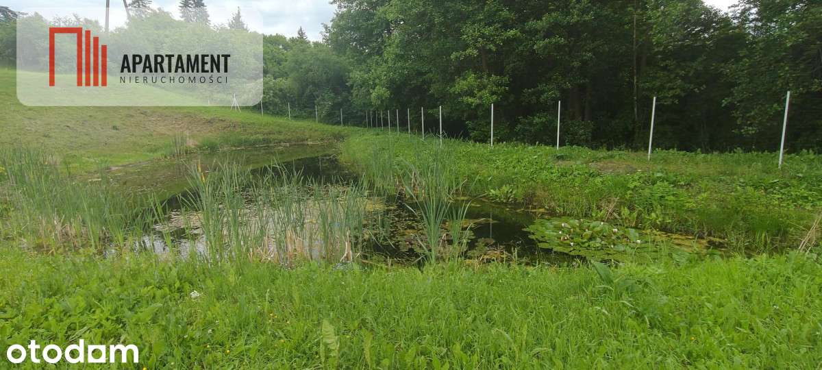 Obniżka !!!Dom nad rzeką dz. 2924 m²  Natura 2000 - Pełny obrazek: 5/20