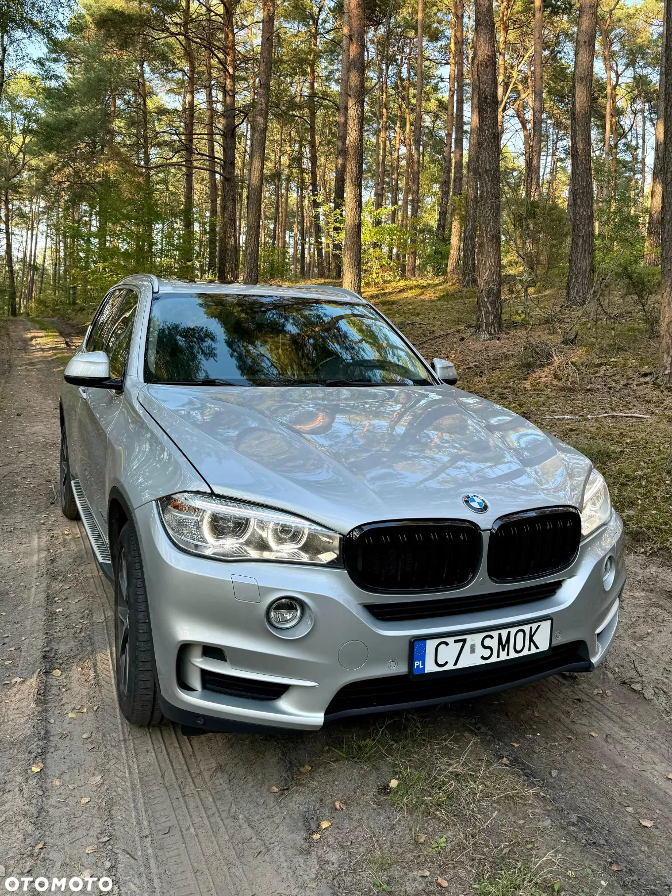 BMW X5 xDrive50i - 10