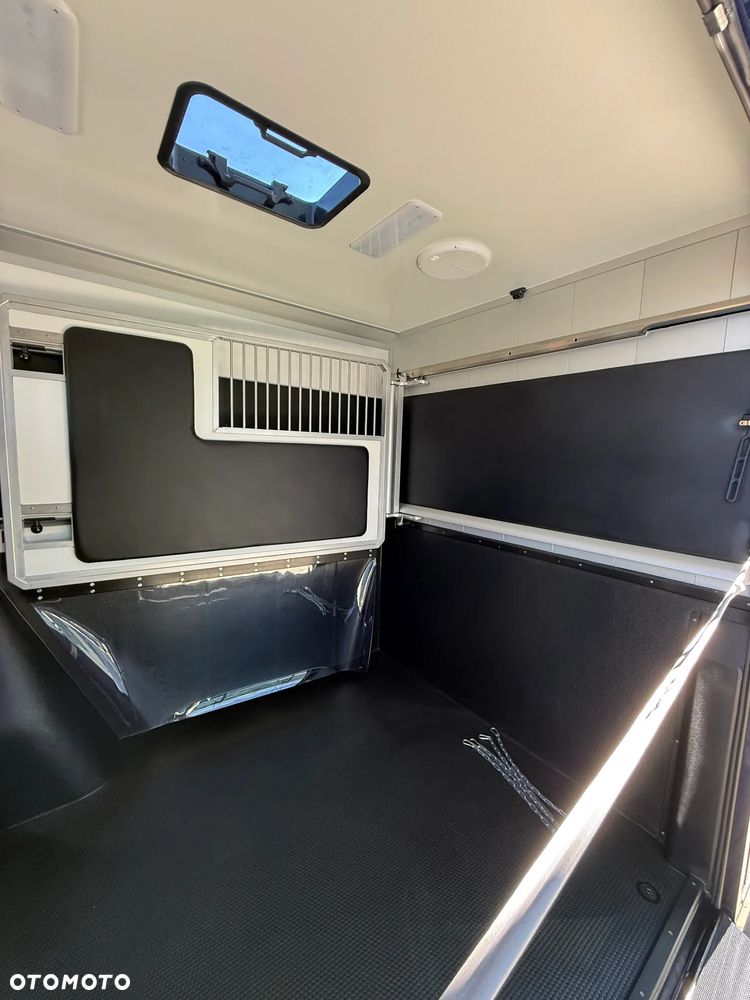 Renault MASTER IV 5-osobowy, Nowy koniowóz STX Automat, GWARANCJA - 25