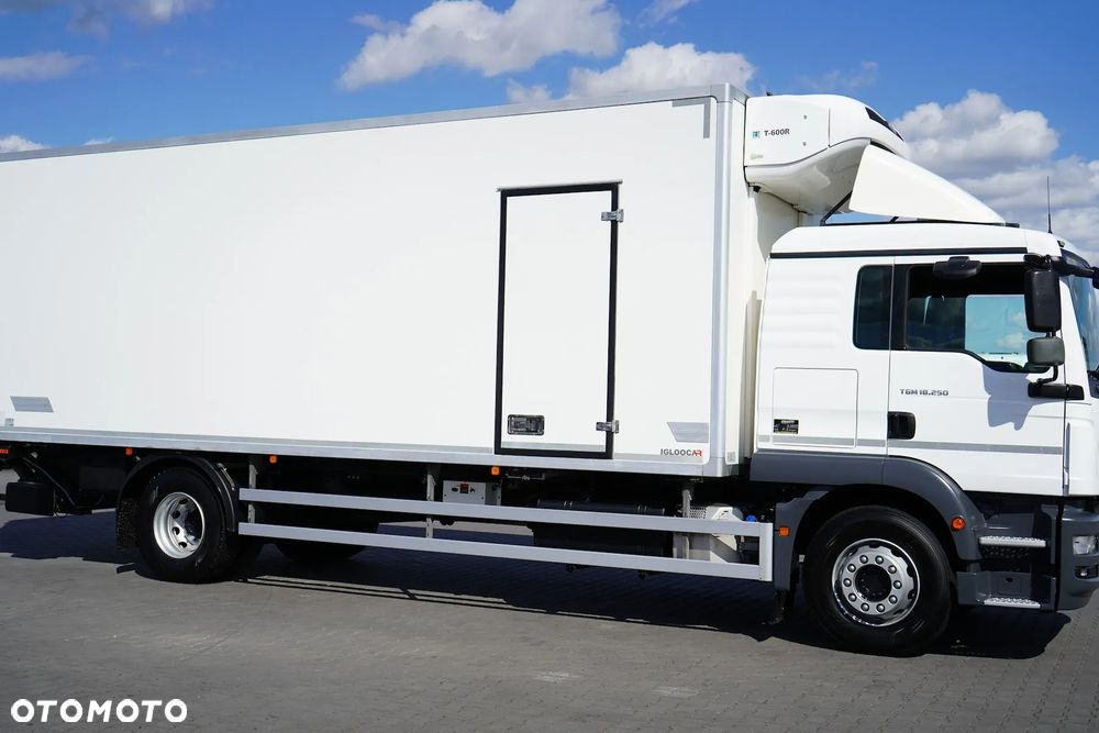 MAN / TGM / 18.250 / EURO 6 / CHŁODNIA + WINDA / ŁAD. 9 010 KG / 19 PALET - 16