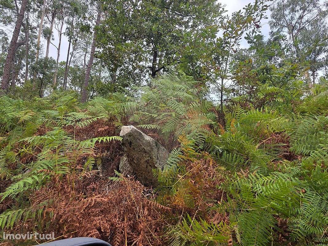 Terreno  para venda - Grande imagem: 2/4