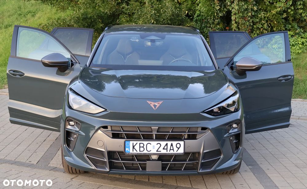 Cupra Terramar 2.0 TSI 4Drive DSG - 7