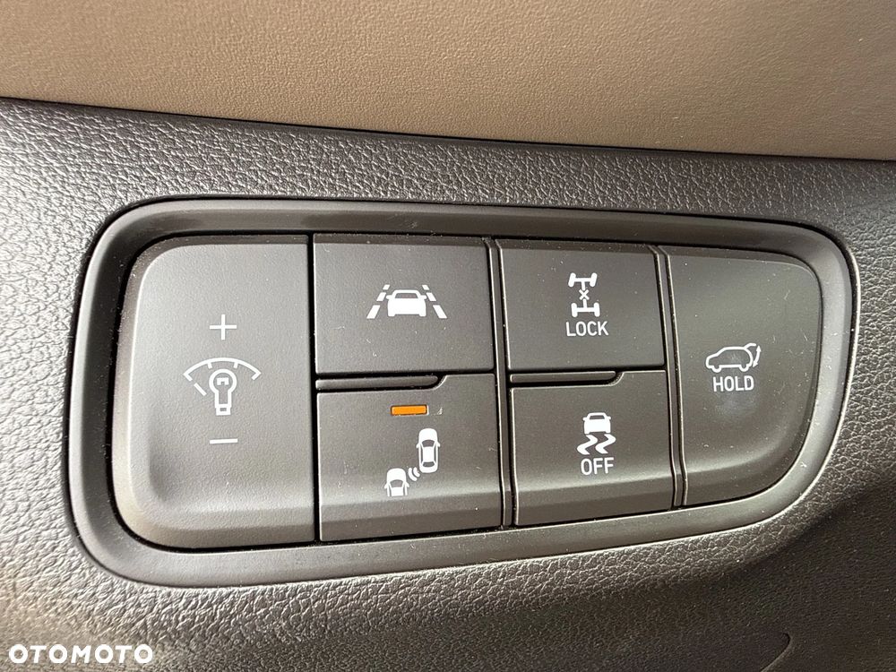 Hyundai Santa Fe 2.0 CRDi Platinum 4WD - 14