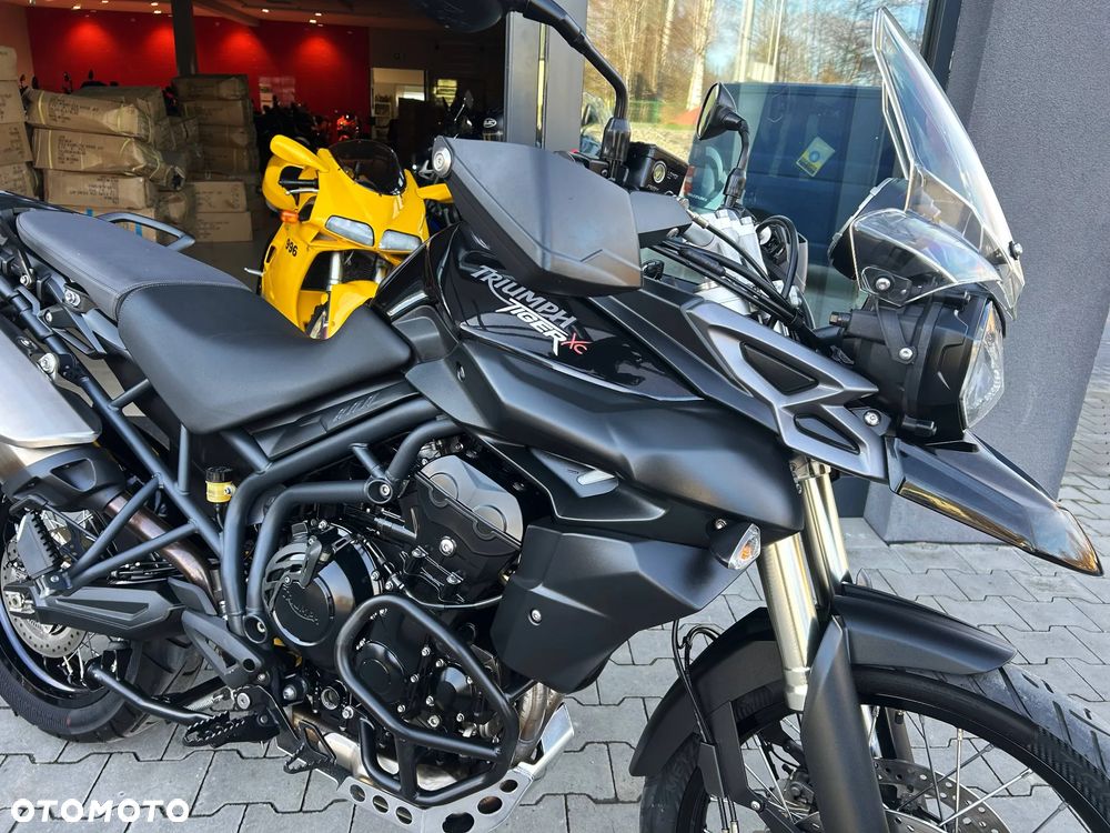 Triumph Tiger - 23