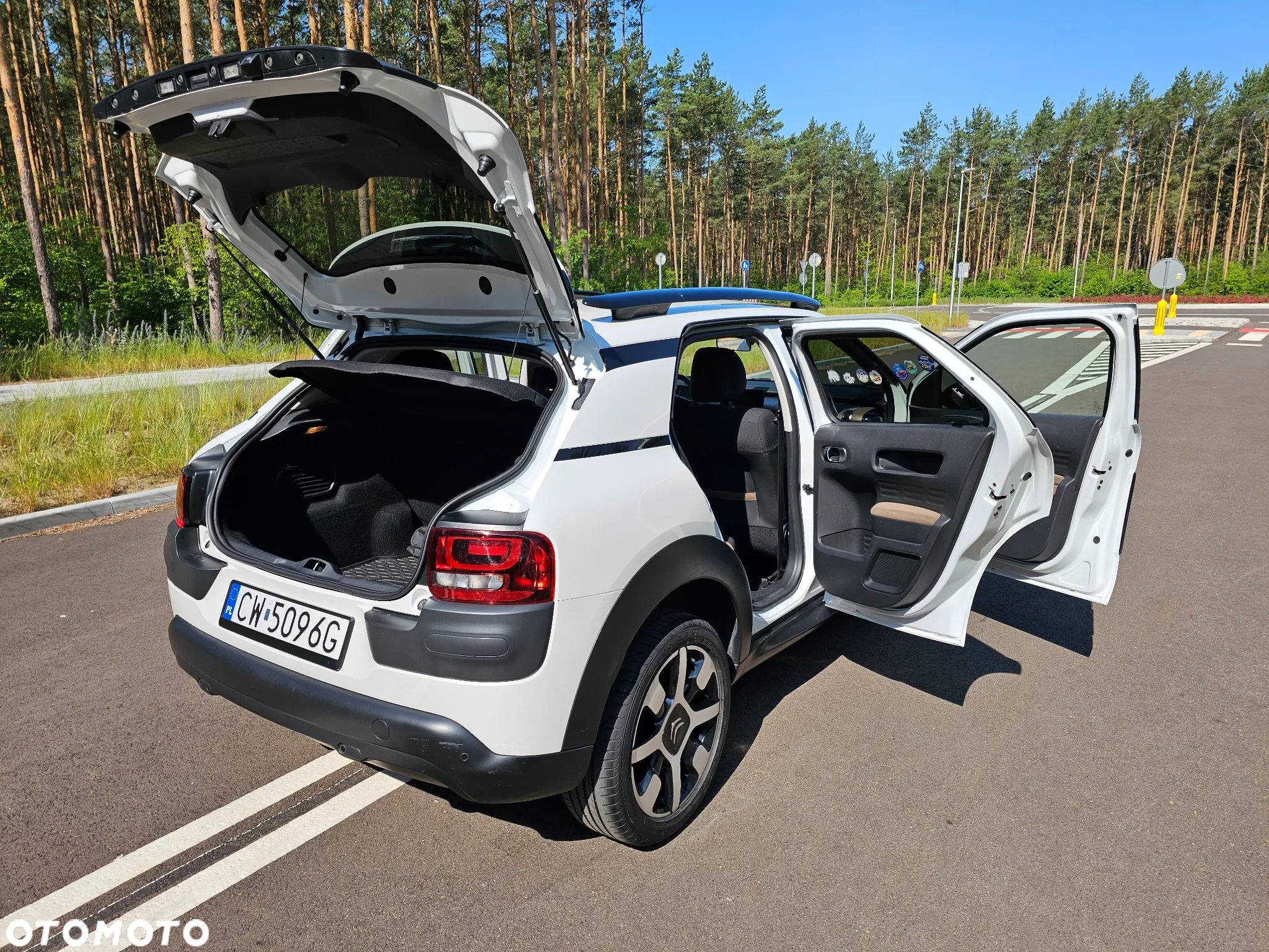 Citroën C4 Cactus 1.6 BlueHDi Shine - 17