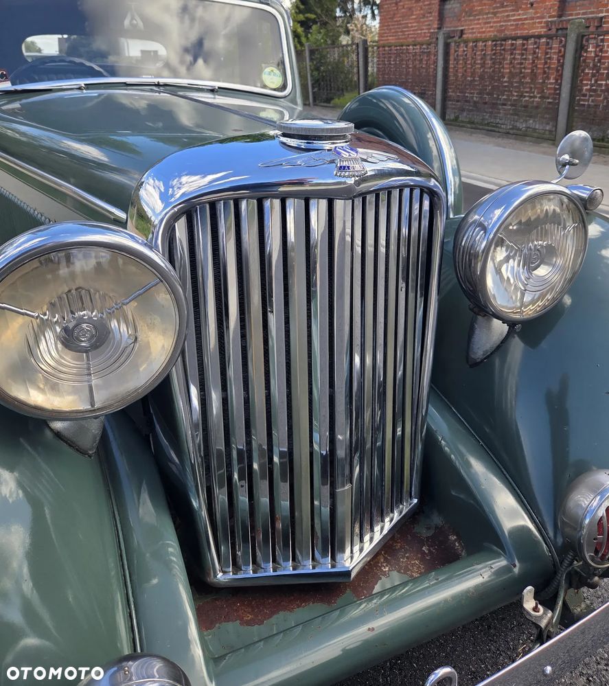 Jaguar Inny - 8