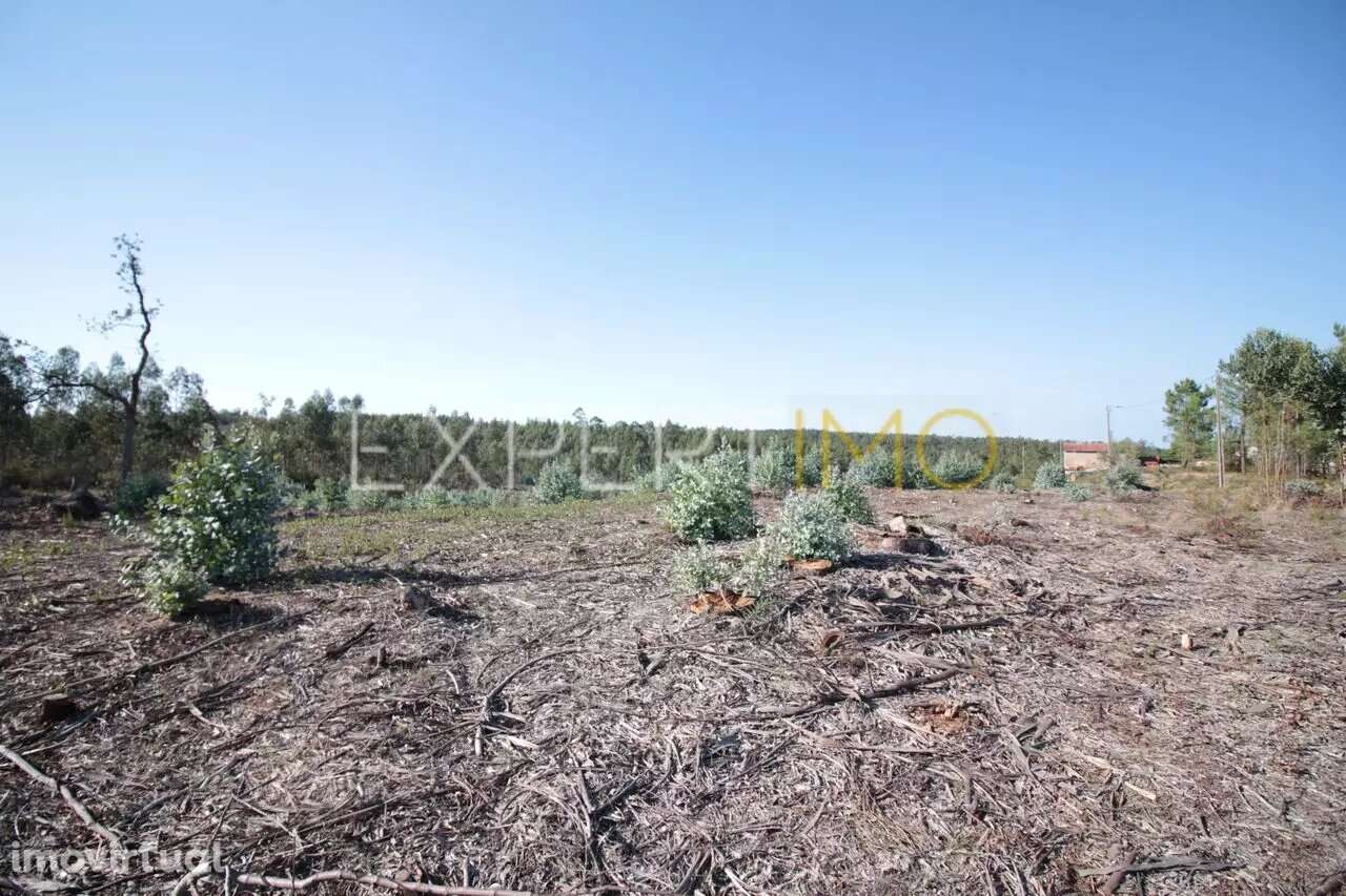 Terreno em Leiria com 75400 m2 para construção - Grande imagem: 3/5