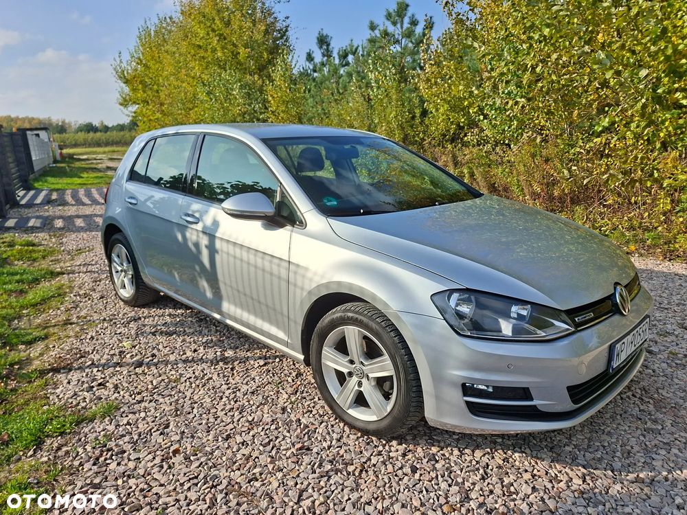 Volkswagen Golf - 33