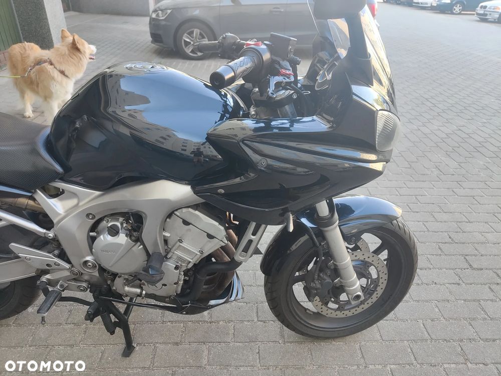 Yamaha FZ6 - 3