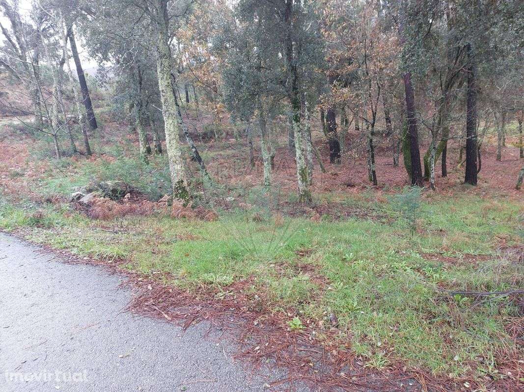 Terreno  para venda - Grande imagem: 2/6