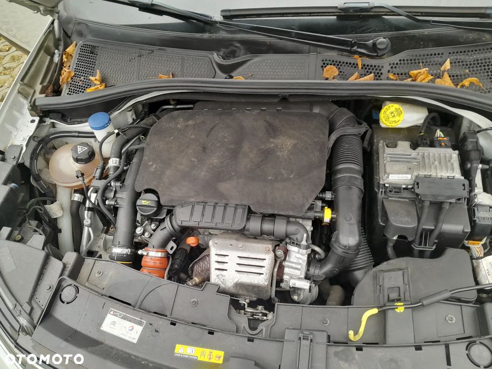 Citroën C4 Cactus 1.2 PureTech Feel Edition S&S - 12