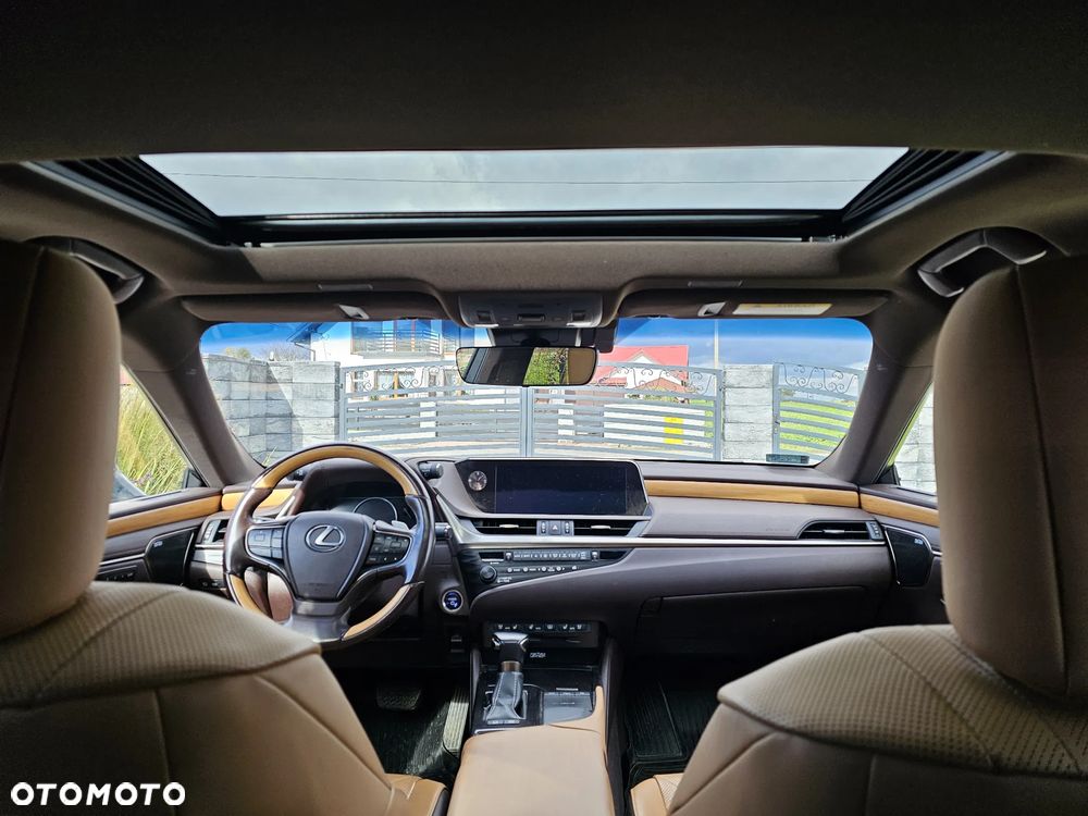 Lexus ES 300h Omotenashi - 4