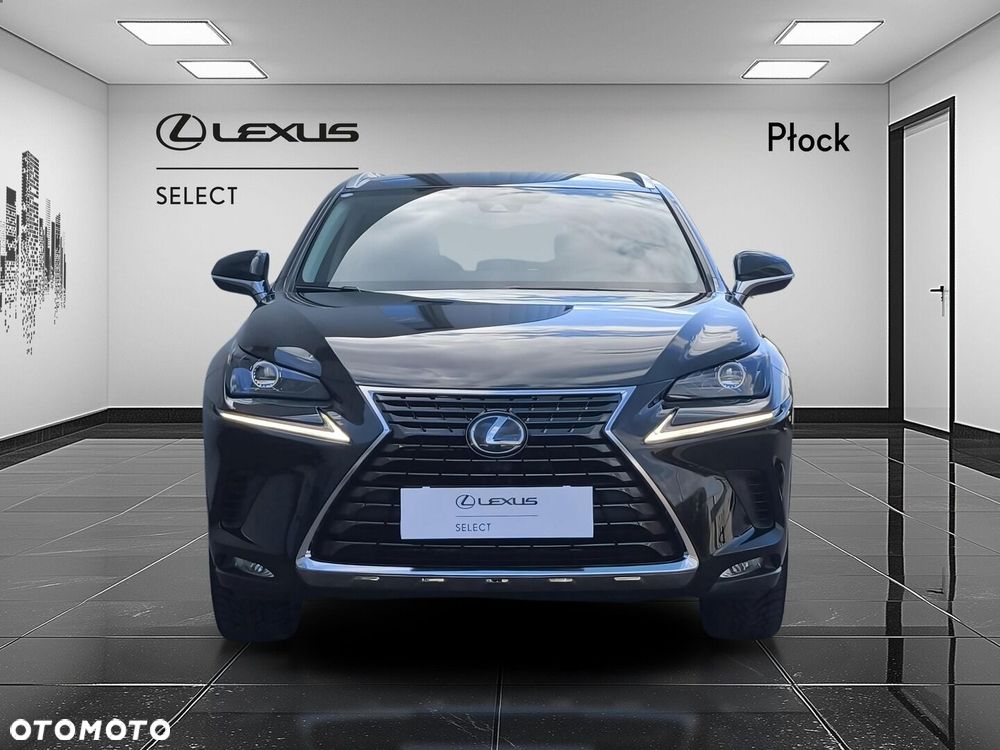 Lexus NX 300h Business Edition AWD - 8