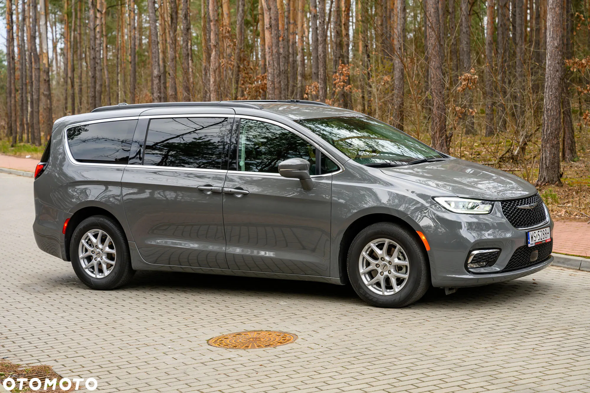 Chrysler Pacifica - 7