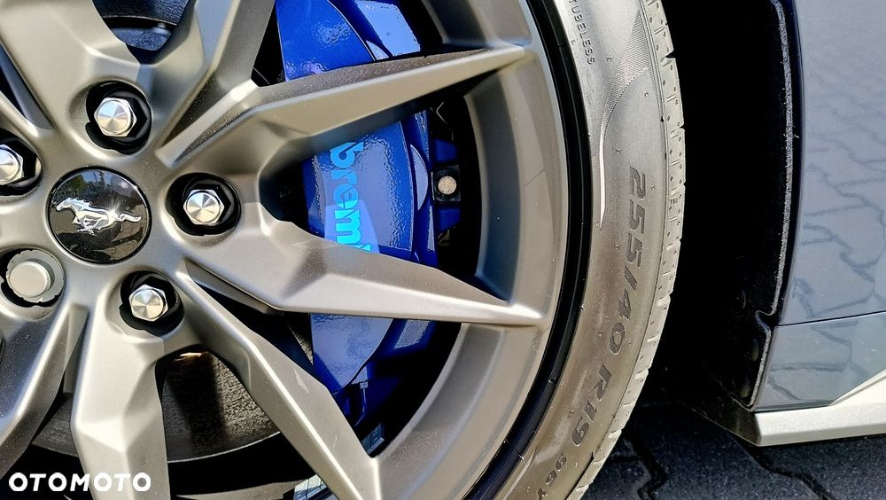 Ford Mustang 5.0 Ti-VCT V8 Dark Horse - 6