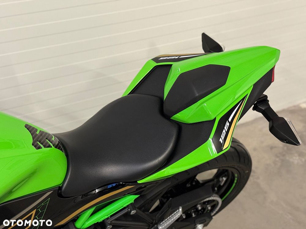 Kawasaki Ninja - 29