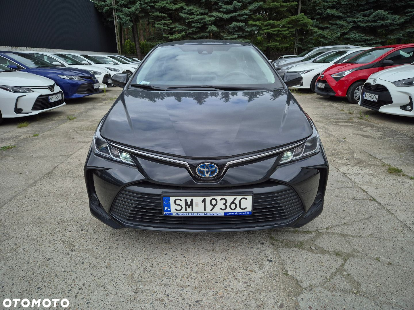 Toyota Corolla - 3