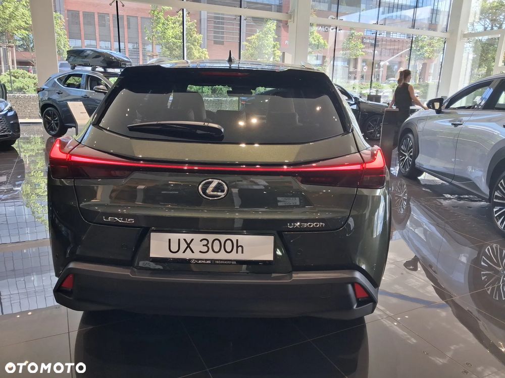 Lexus UX 300h Business - 6