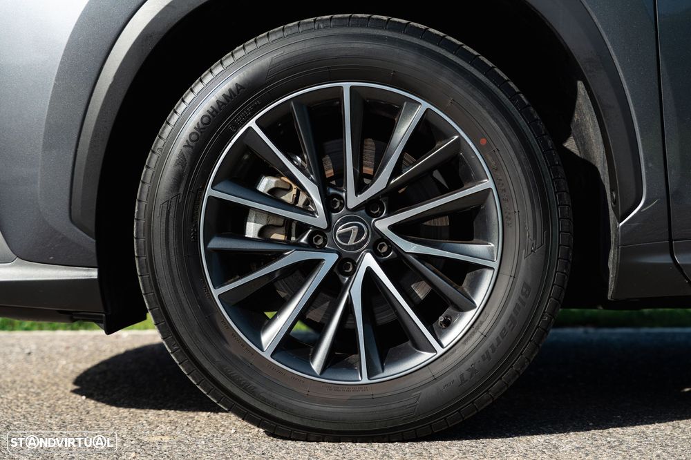 Lexus NX 350h Executive Plus - 17