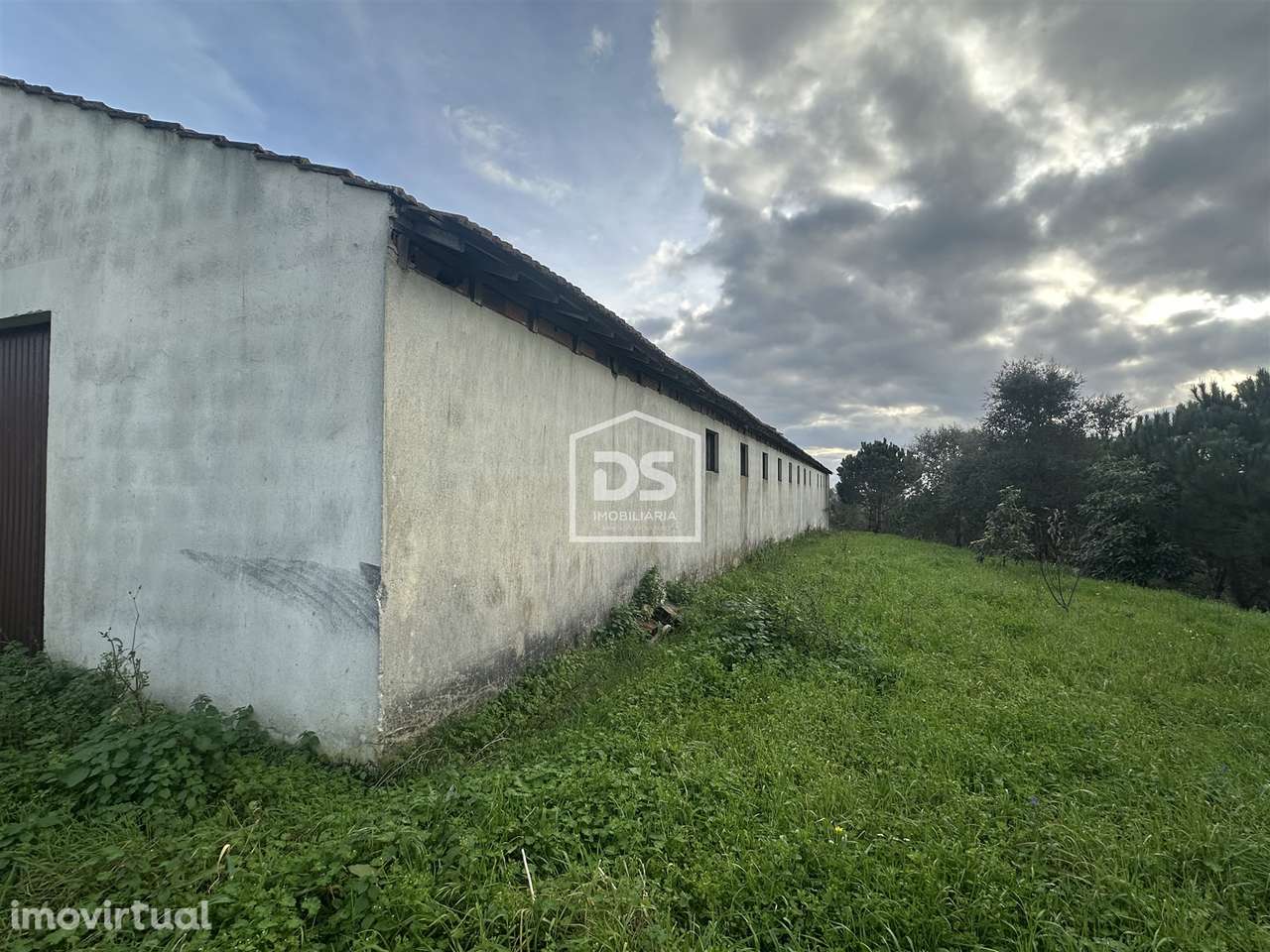 Terreno Misto  Venda em Colmeias e Memória,Leiria - Grande imagem: 4/19