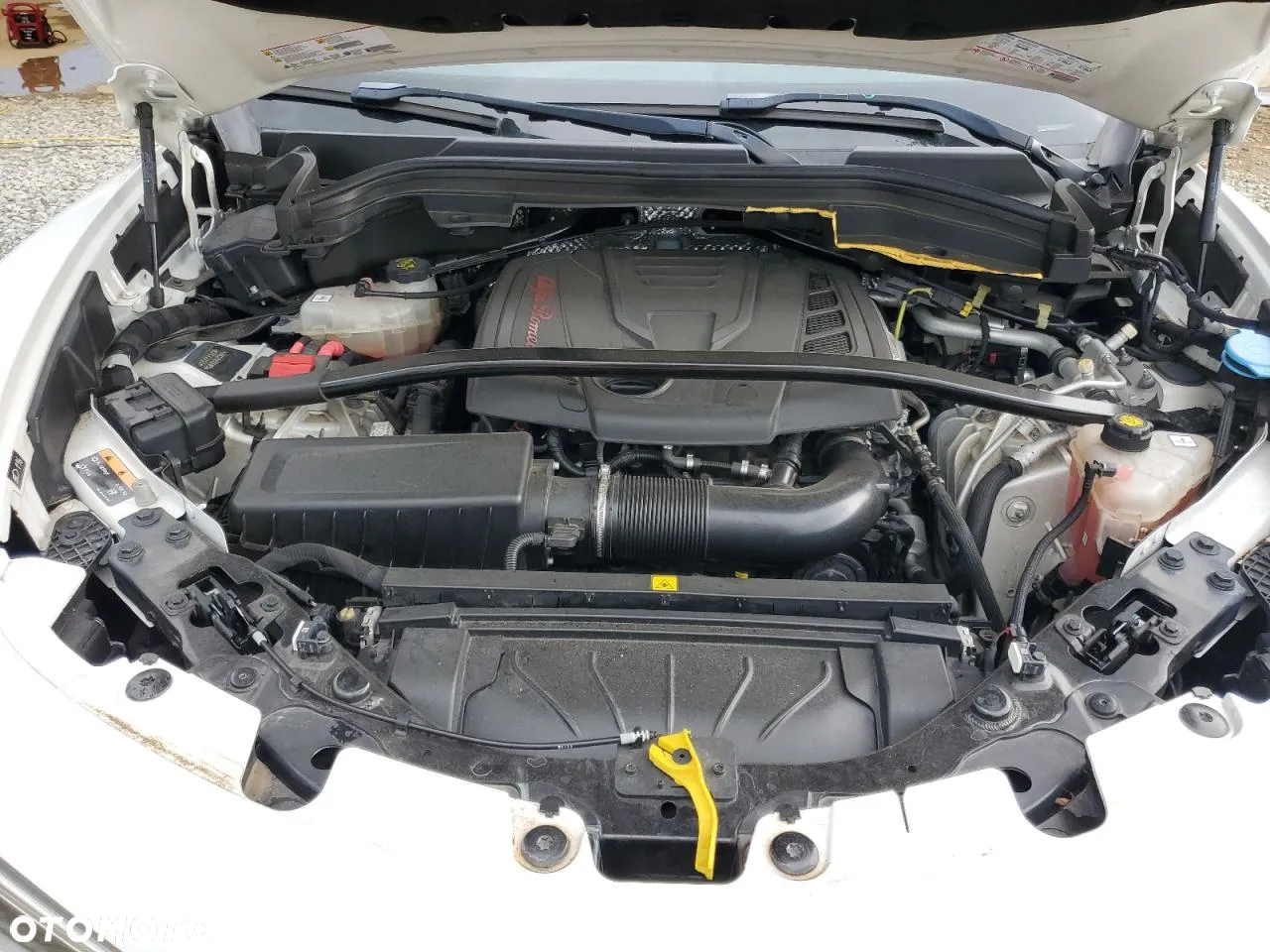 Alfa Romeo Stelvio 2.0 Turbo 6C Villa D'este Q4 - 15