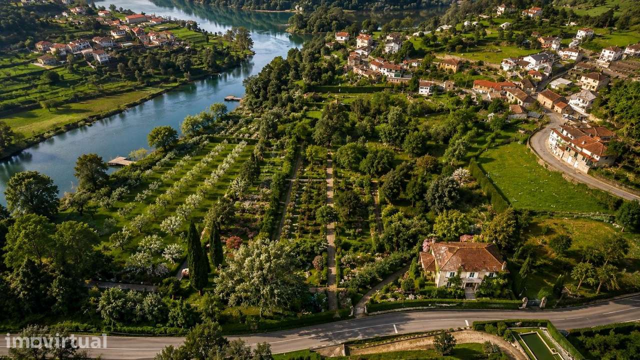 QUINTA DOURO – UMA OPORTUNIDADE DE INVESTIMENTO EXCECIONAL - Grande imagem: 3/15