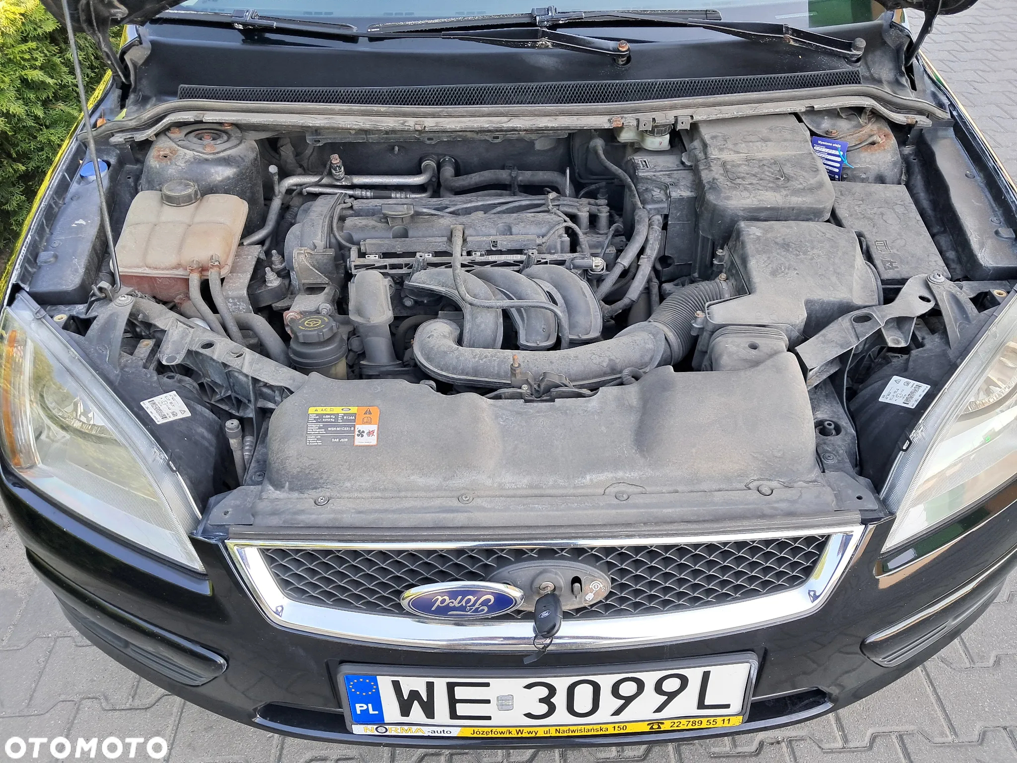 Ford Focus - 12