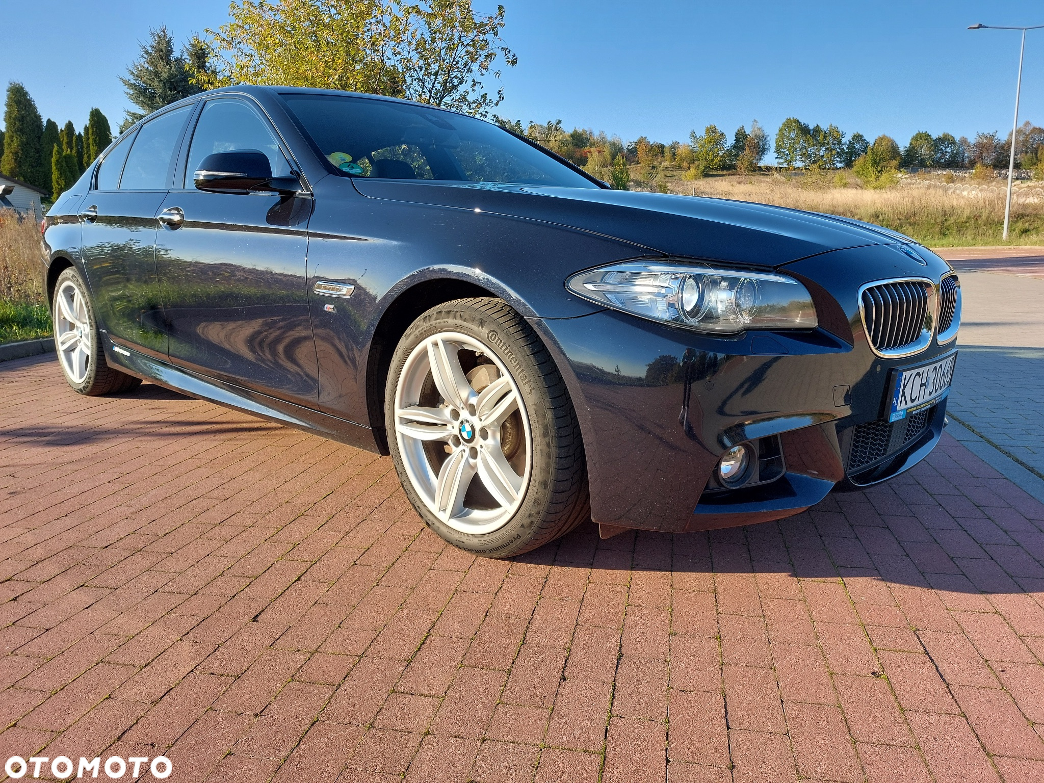 BMW Seria 5 520d M Sport - 2