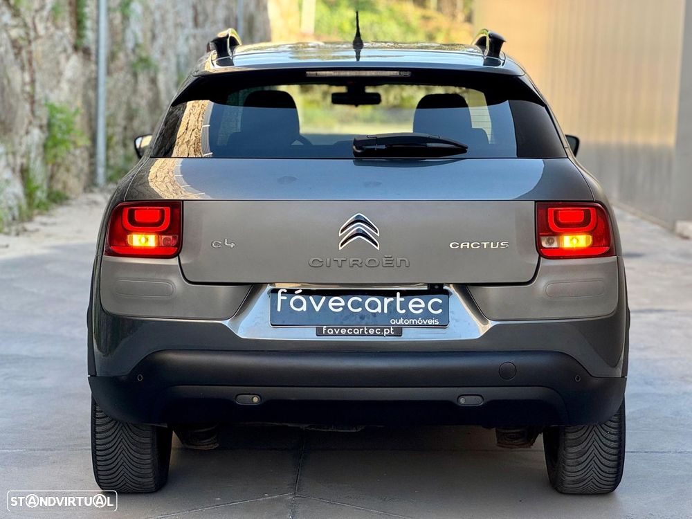 Citroën C4 Cactus 1.6 BlueHDi Shine - 17