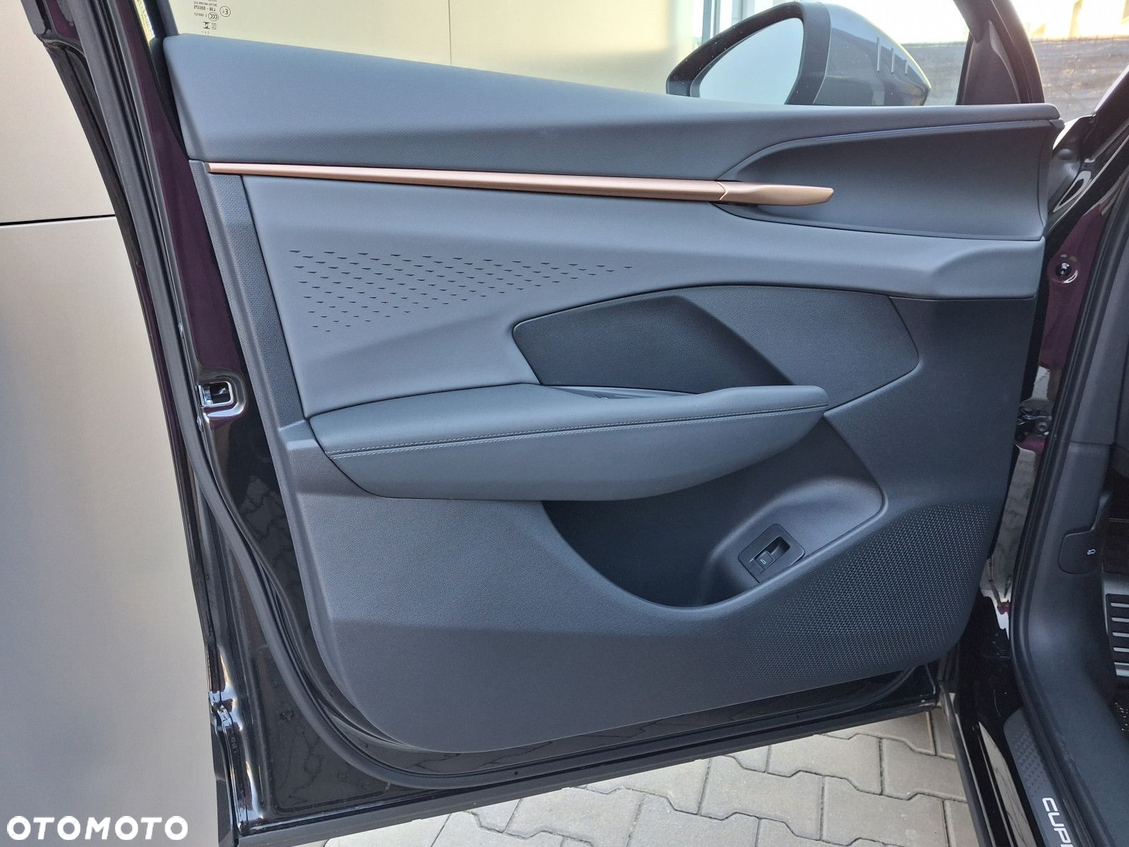 Cupra Terramar - 12