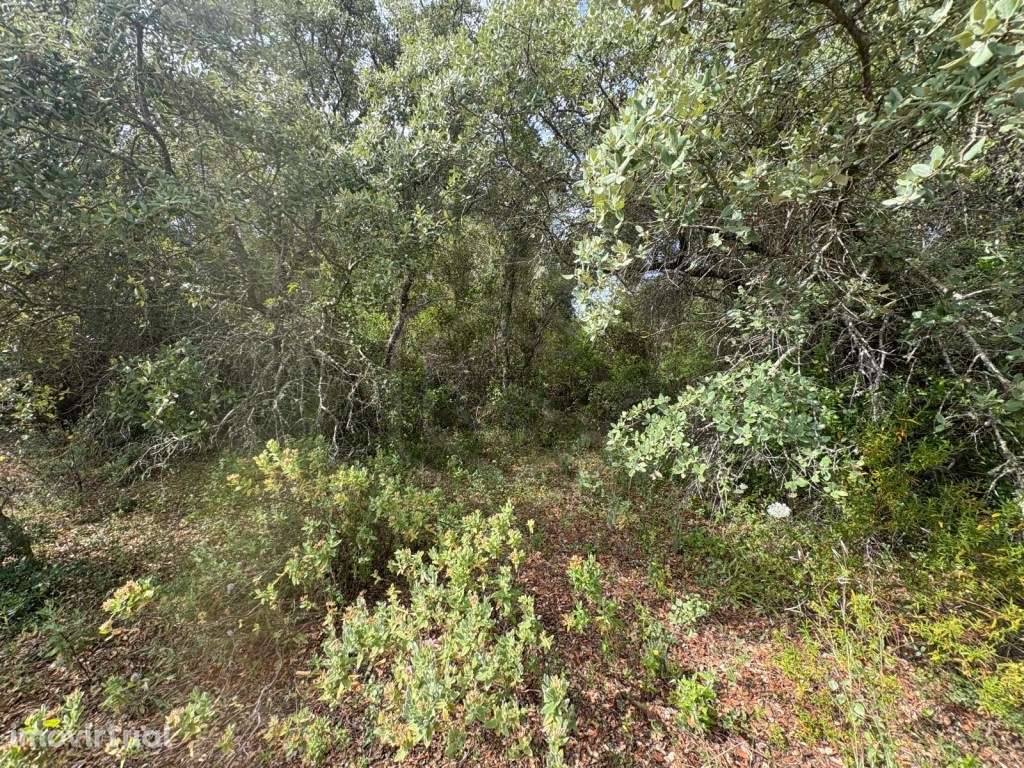 Terreno rustico inserido em malha urbana Tipo C, Salir, Algarve - Grande imagem: 4/10