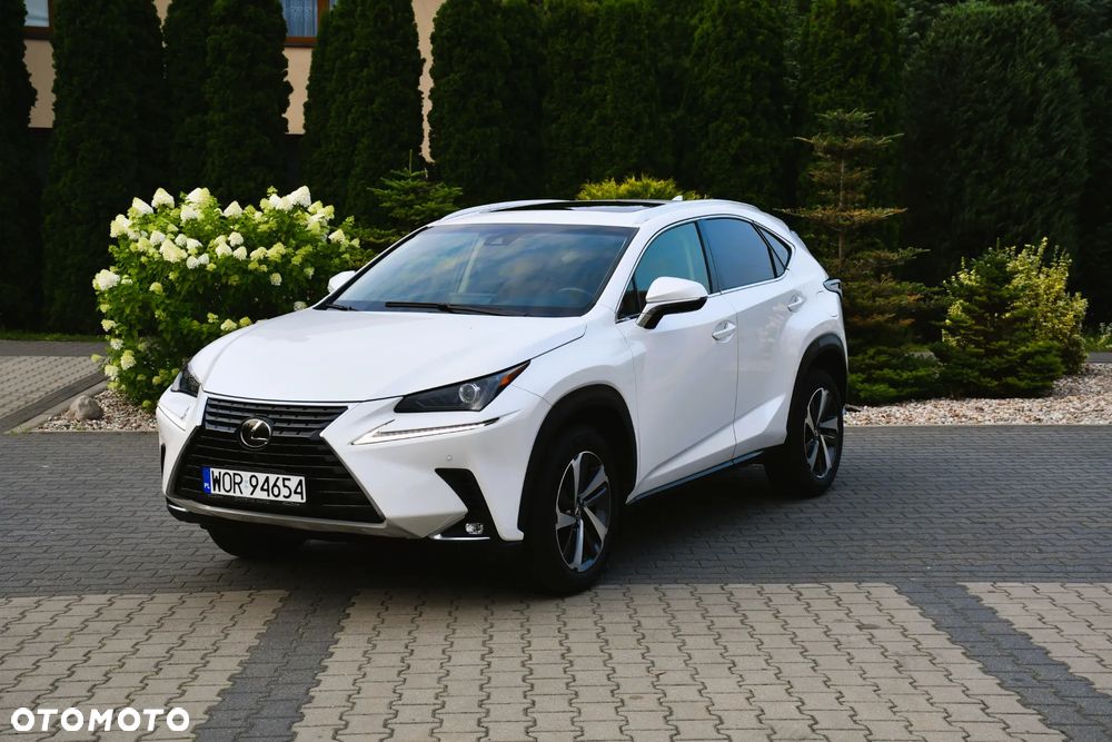 Lexus NX 300 AWD Executive Line - 2