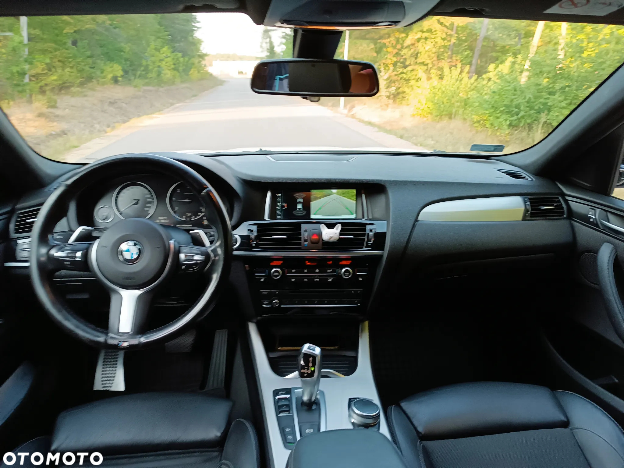 BMW X4 xDrive20d Edycja M Sport - 6