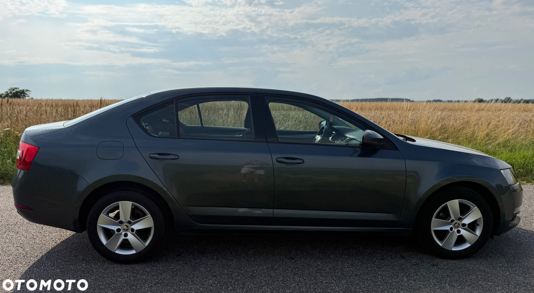 Skoda Octavia 1.6 TDI Active - 5