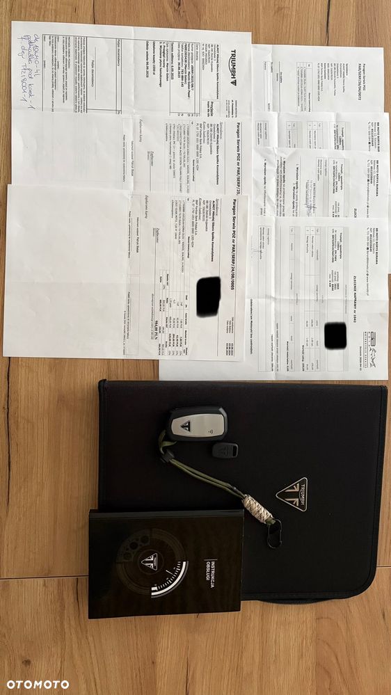Triumph Speed Triple - 22