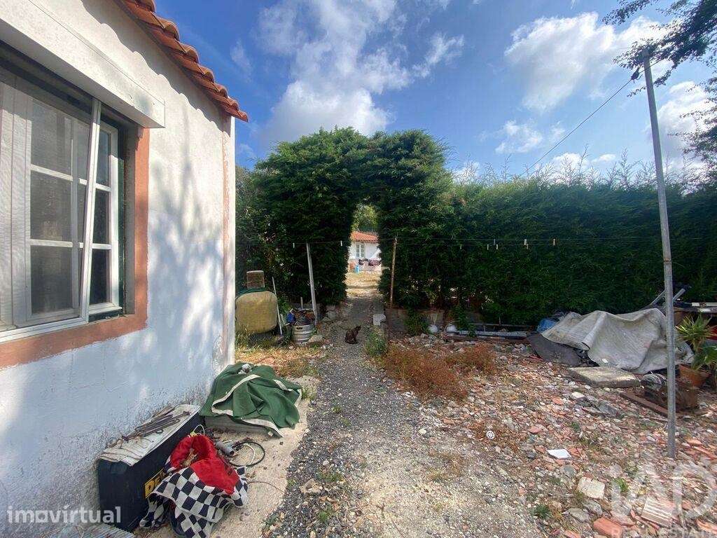 Casa / Villa em Santa Maria, São Pedro e Sobral da Lagoa de 42,00 m2 - Grande imagem: 2/11
