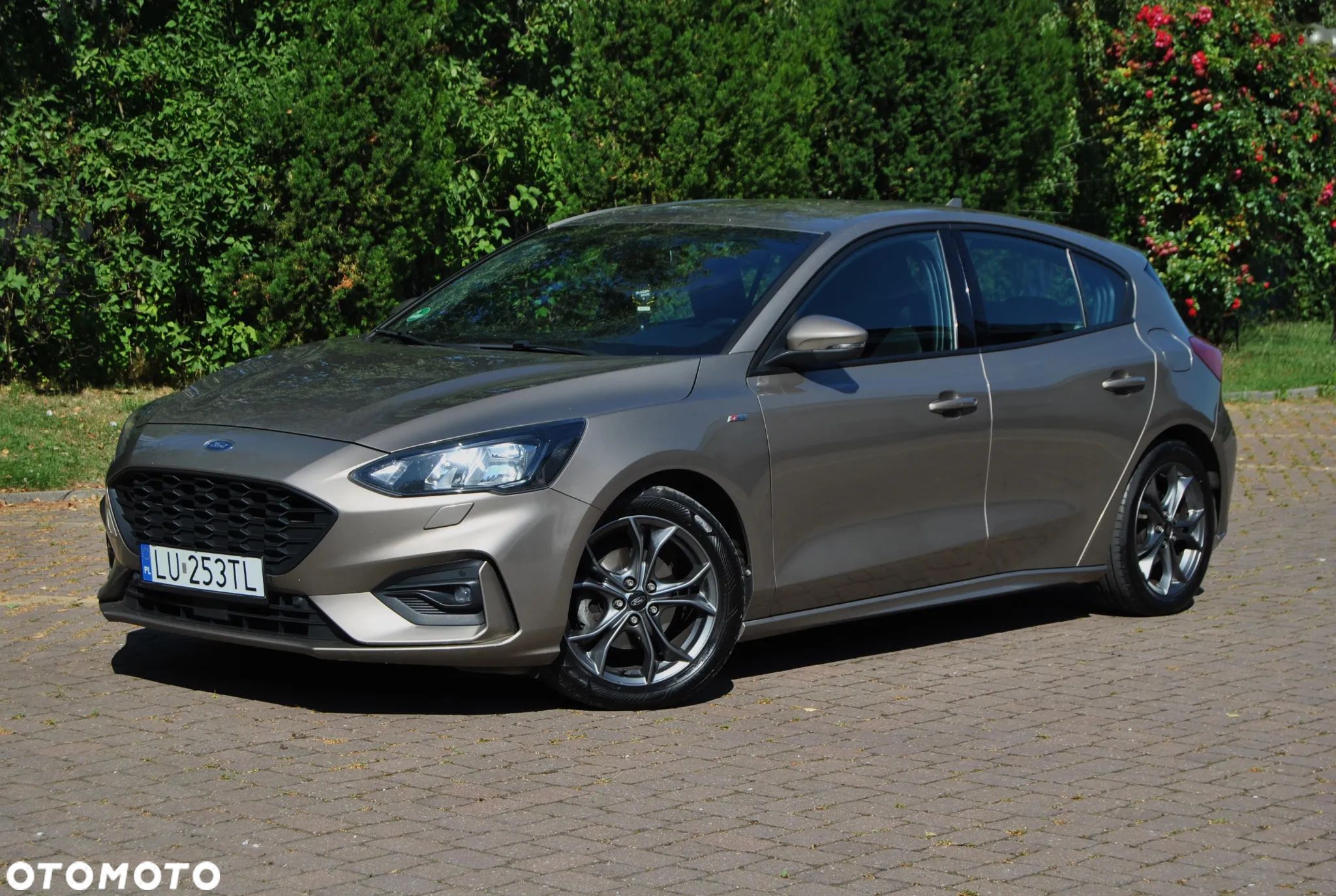 Ford Focus 1.5 EcoBlue Start-Stopp-System ST-LINE STYLE - 1