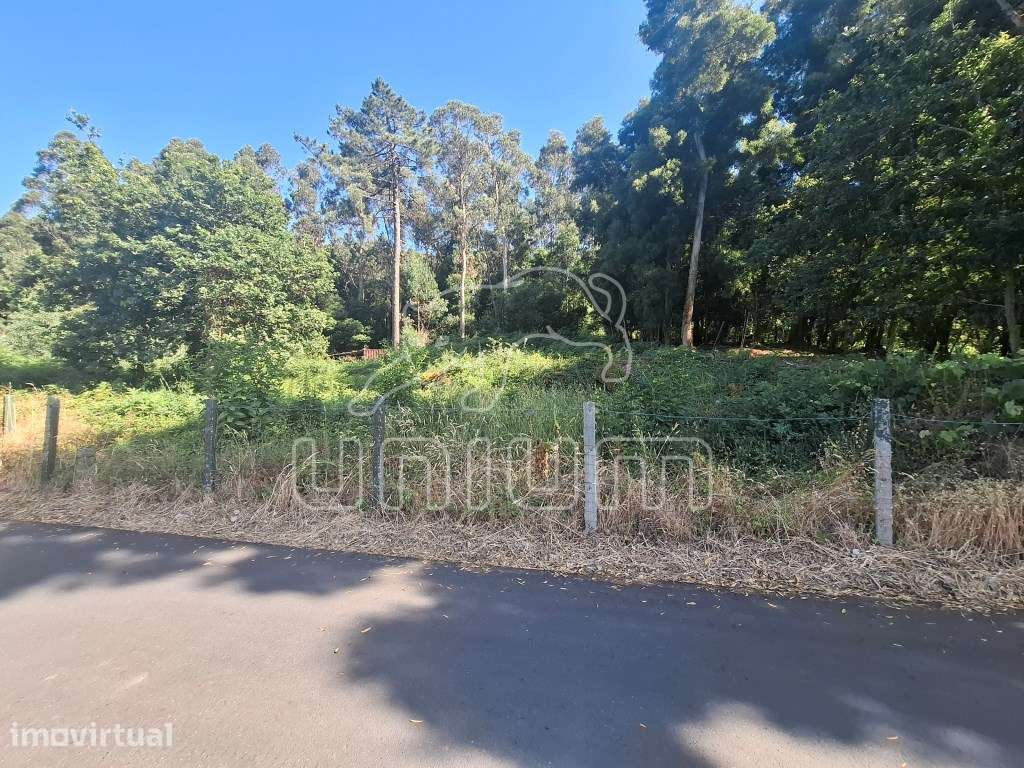 Terreno em Lanhelas - Grande imagem: 2/5