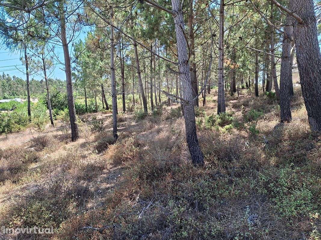 Terreno  para venda - Grande imagem: 3/8