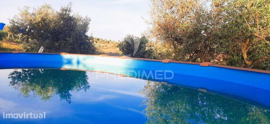 Quintinha com 2 Habitações  e piscina— Alqueva - Grande imagem: 5/35