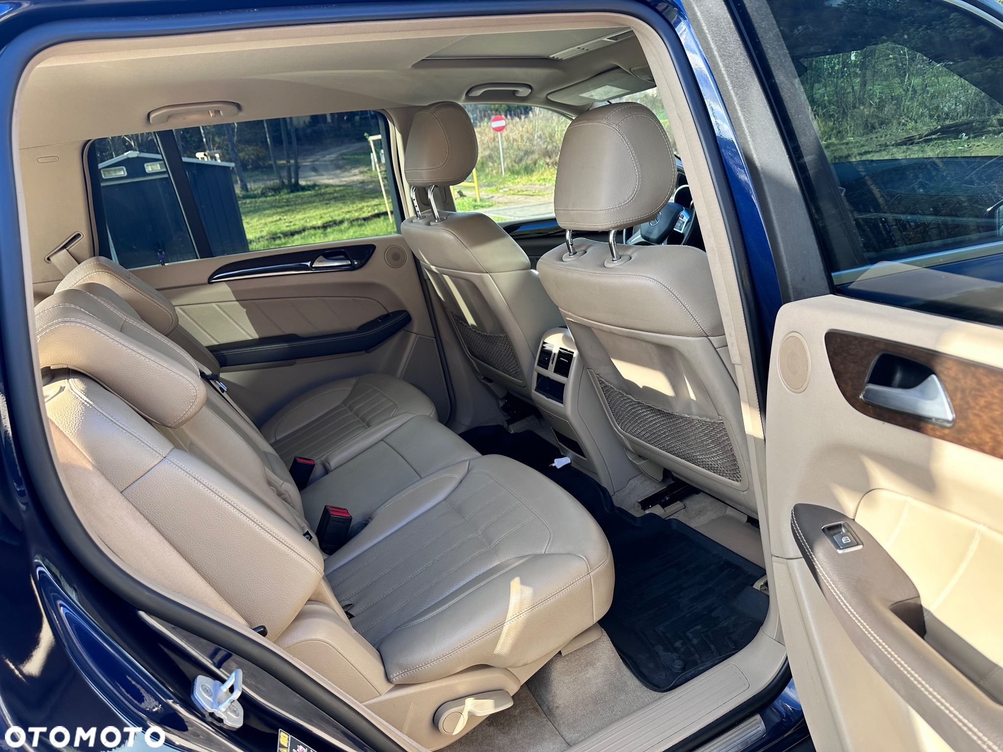 Mercedes-Benz GL 350 BlueTEC 4Matic 7G-TRONIC - 19