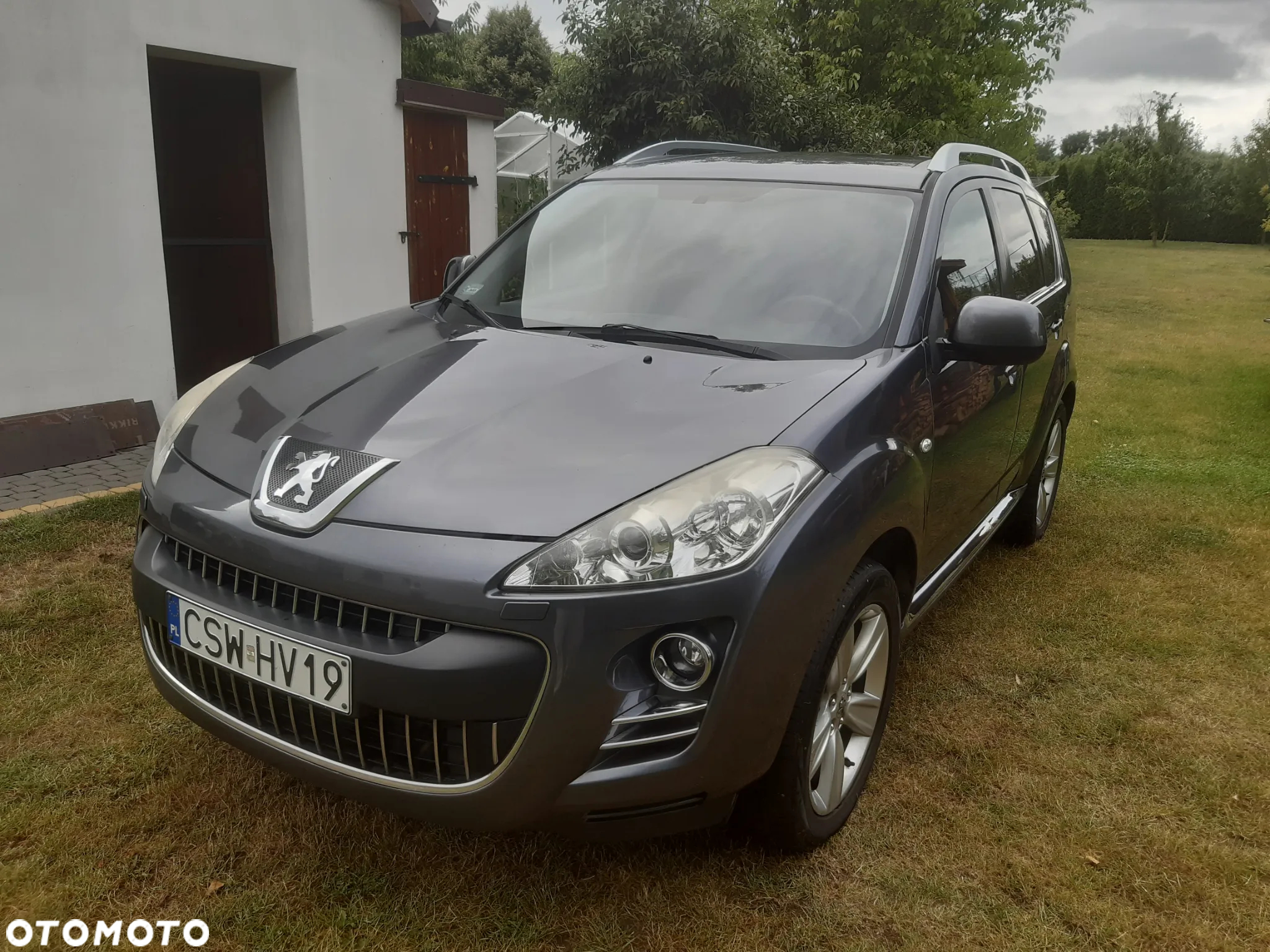 Peugeot 4007 HDI FAP 7-Sitzer Platinum - 2