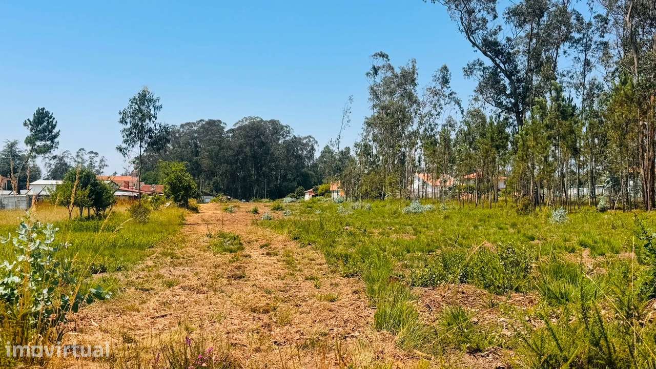 Terreno Para Construção  Venda em São Miguel do Souto e Mosteirô,Santa - Grande imagem: 4/6
