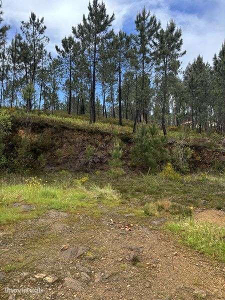 Terreno Calheiros Ponte de Lima - Grande imagem: 3/4