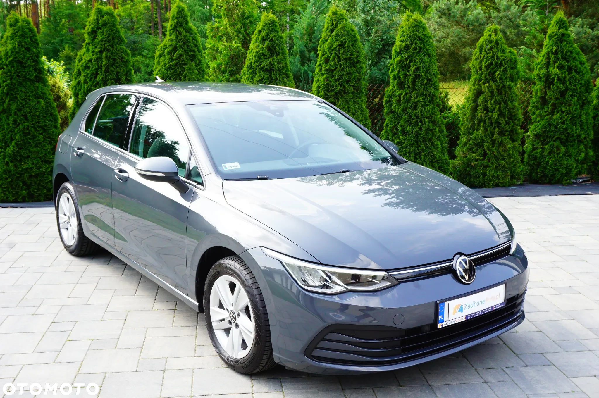 Volkswagen Golf VIII 1.5 TSI EVO Life - 5