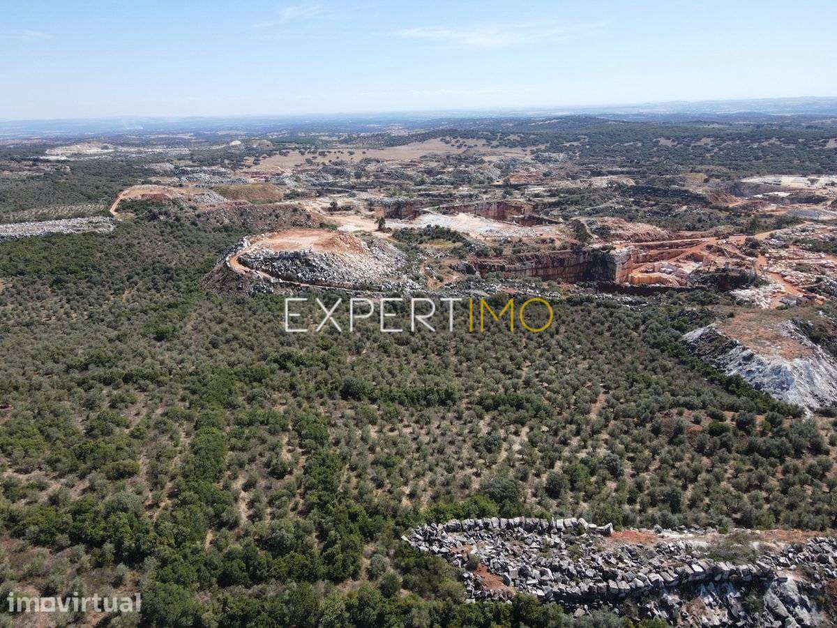 Terreno com Olival e Potencial para Exploração de Mármore | 3,675... - Grande imagem: 3/8