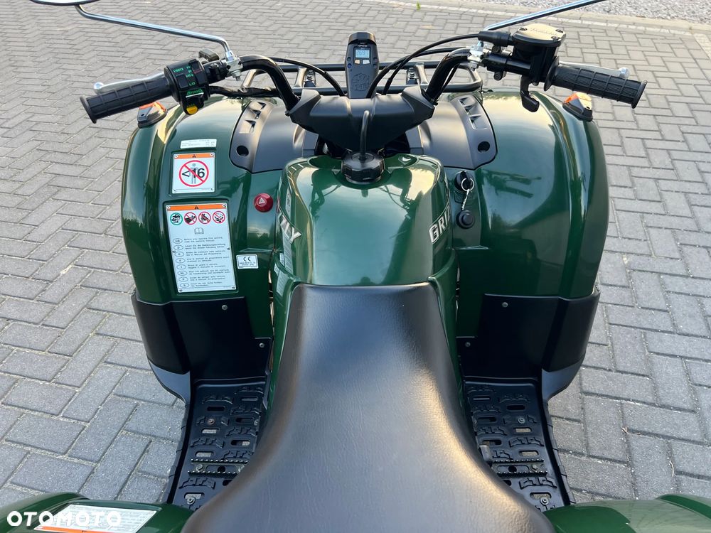 Yamaha Grizzly - 7