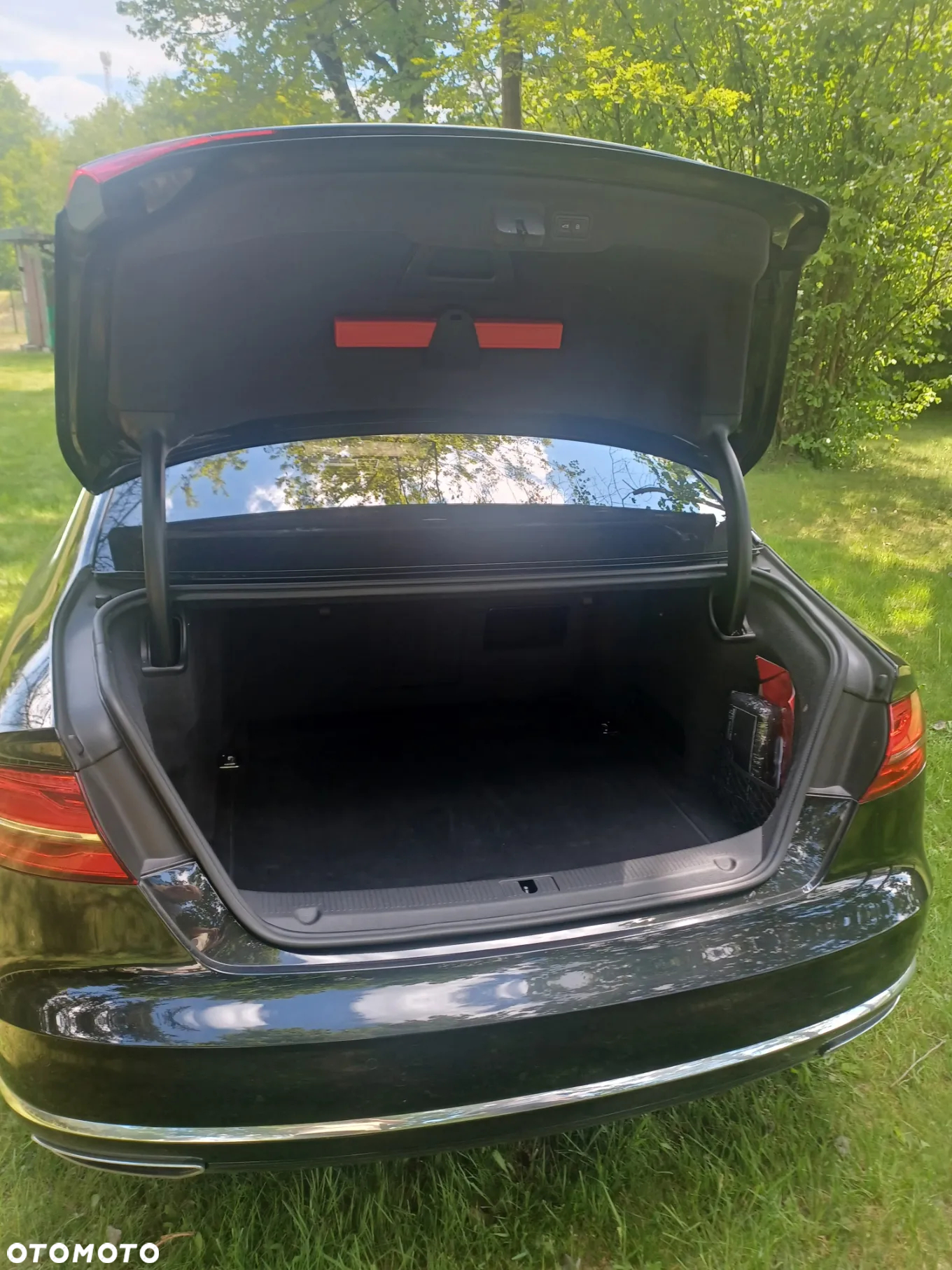 Audi A8 4.2 TDI DPF (clean diesel) quattro tiptronic Lang - 10