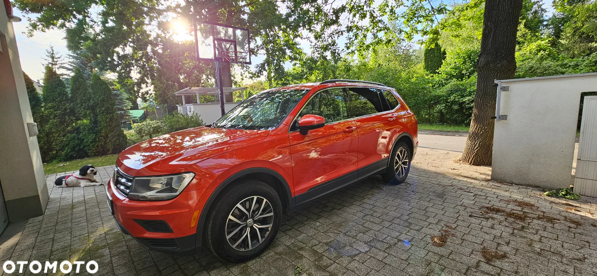 Volkswagen Tiguan Allspace - 3